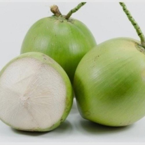 Fresh Green Tender Coconut