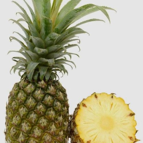 Fresh Pineapple