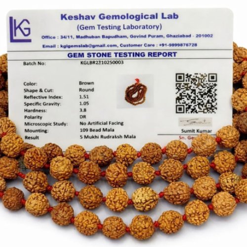 109 Beads Rudraksha Mala