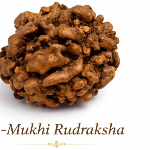 3 Mukhi Rudraksha