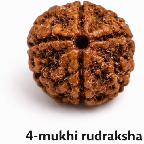 4 Mukhi Rudraksha