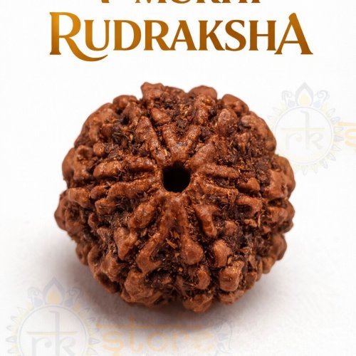 7 Mukhi Rudraksha