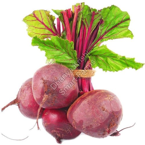 Fresh Organic Beetroot