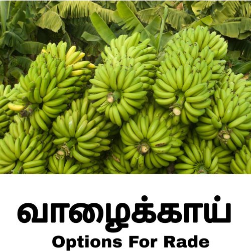Fresh Green Banana