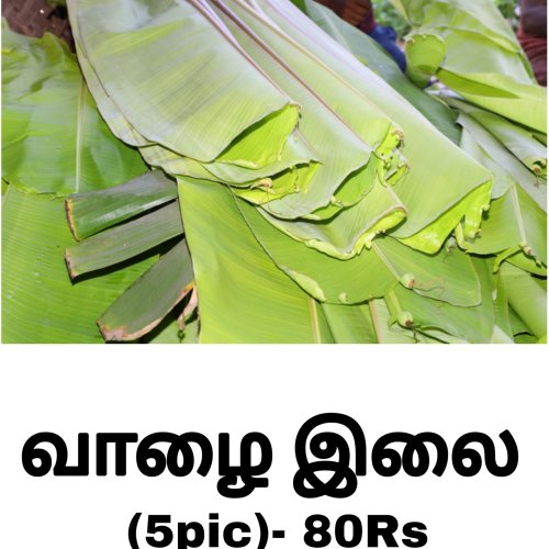 Green Banana Leaf