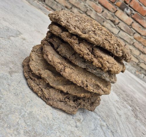 Cow Dung Cake