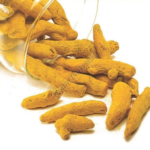 Dried Turmeric Finger Dried Turmeric Finger