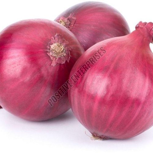 Fresh Red Onion Fresh Red Onion