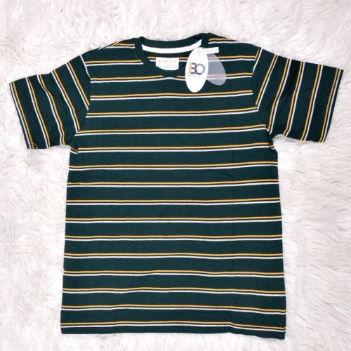 Mens Round Neck Green and White Striped Cotton T-Shirt
