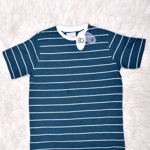 Mens Round Neck Teal Blue and White Striped Cotton T-Shirt