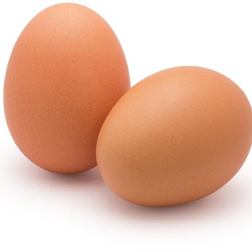 Fresh Brown Egg