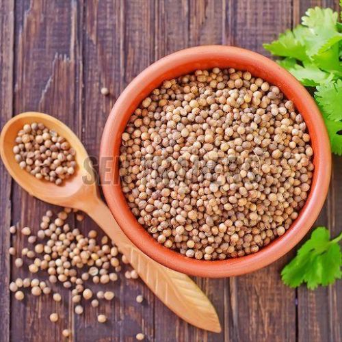 Brown Whole Coriander Seeds