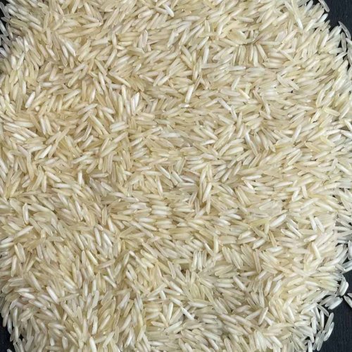 Kolam Steam Rice
