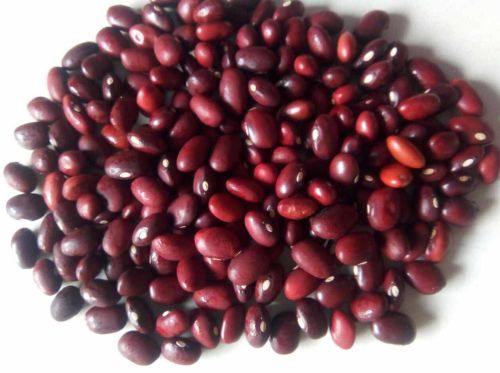 Red Kidney Bean