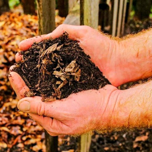 Leaf Compost Fertilizer