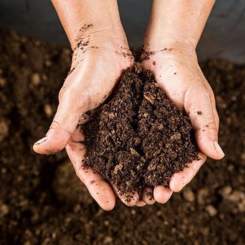 Potting Soil Mix