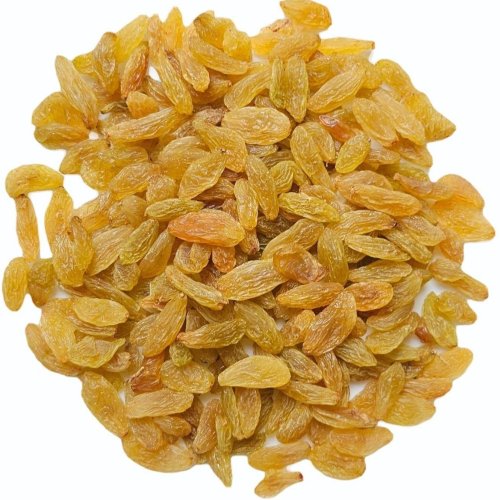 Dried Long Golden Raisin