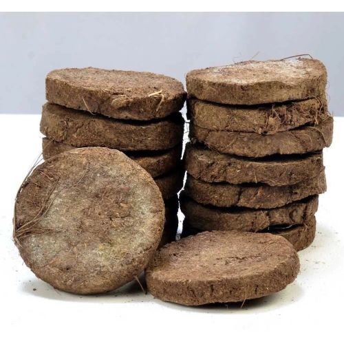 Cow Dung Cake