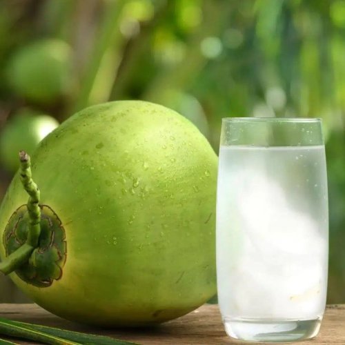 Fresh Green Coconut Juice