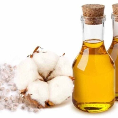 Cotton Seed Oil