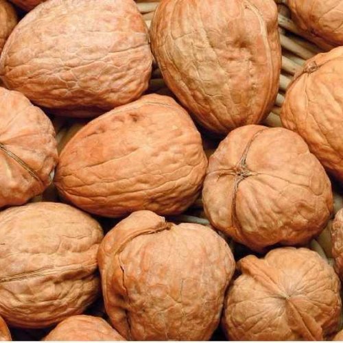 Natural Whole Walnut
