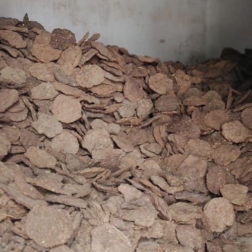 Dry Cow Dung Cake