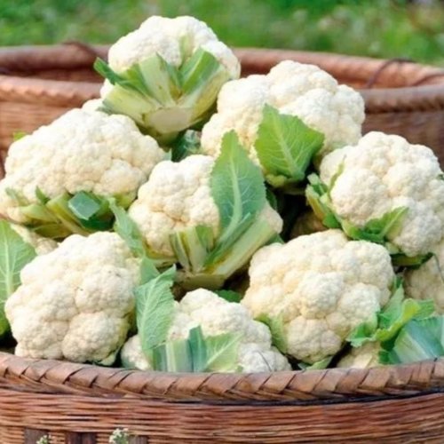 Fresh Cauliflower