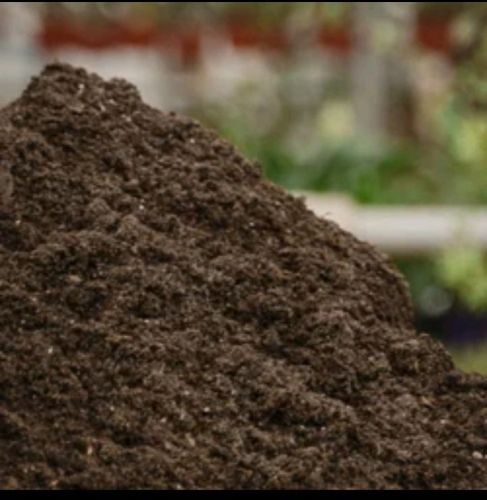 Cow Dung Powder