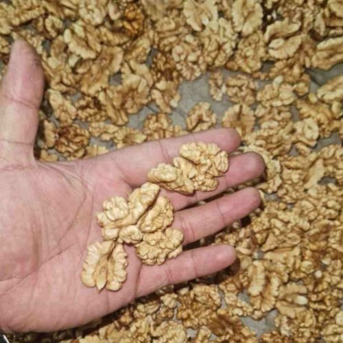 A Grade Kashmiri Walnut Kernels