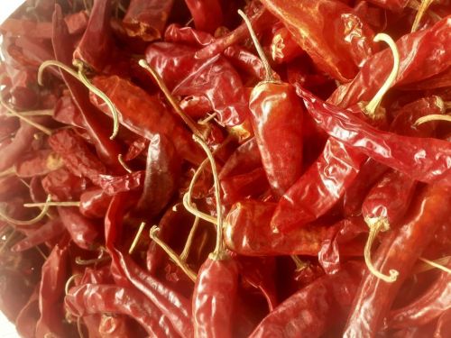 Kashmiri Dry Red Chilli