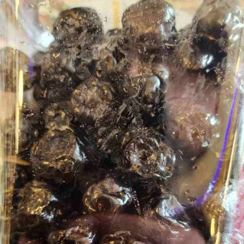 Premium Dried Blueberry