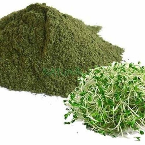 Alfalfa Leaf Powder