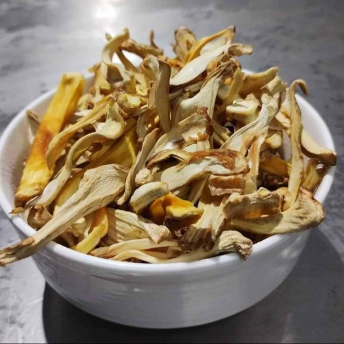 Dehydrated Jackfruit Flake