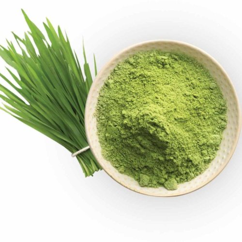 Dehydrated Wheatgrass Powder
