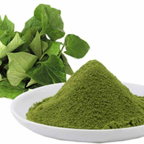 Green Centella Asiatica Plant Powder