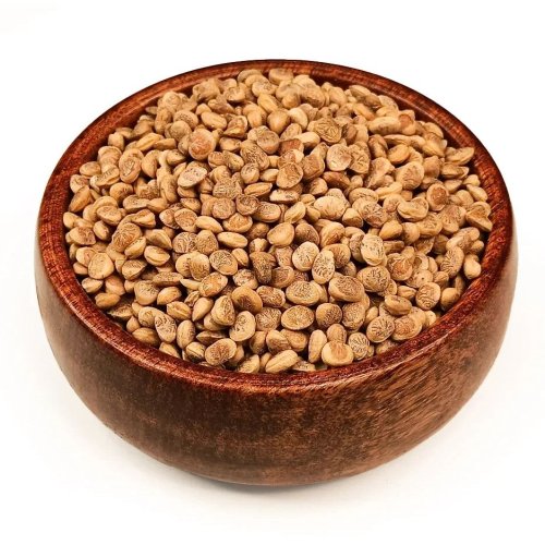 Premium Chironji Seeds Premium Chironji Seeds