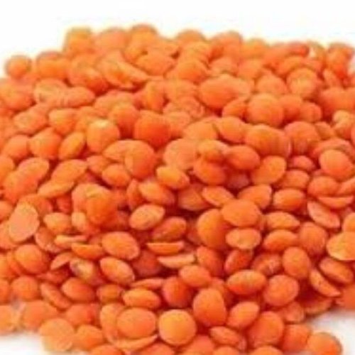 Premium Masoor Dal Premium Masoor Dal