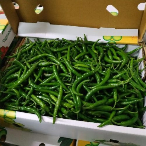Fresh Green Chilli