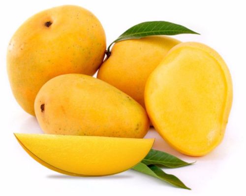 Naturally Ripened Fresh Mango Fruit
