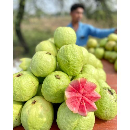 Fresh Guava