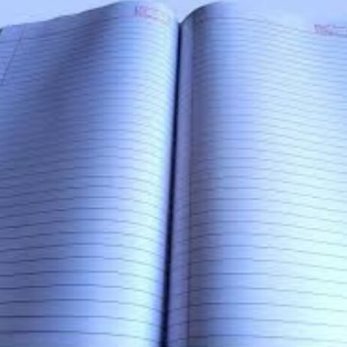320 Pages Bulk Supply Academic Writing Long Book