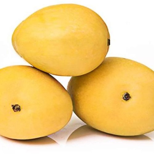 Fresh Banganapalli Mango