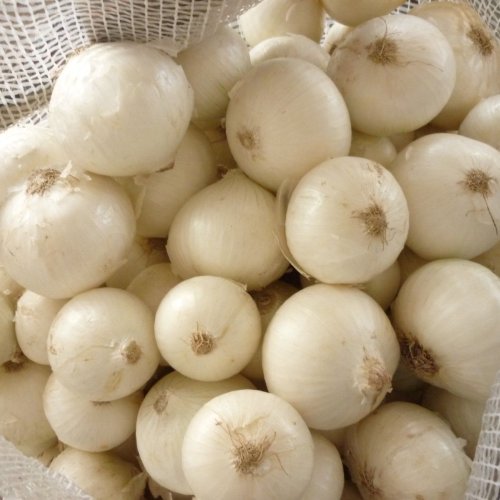 Fresh White Onion