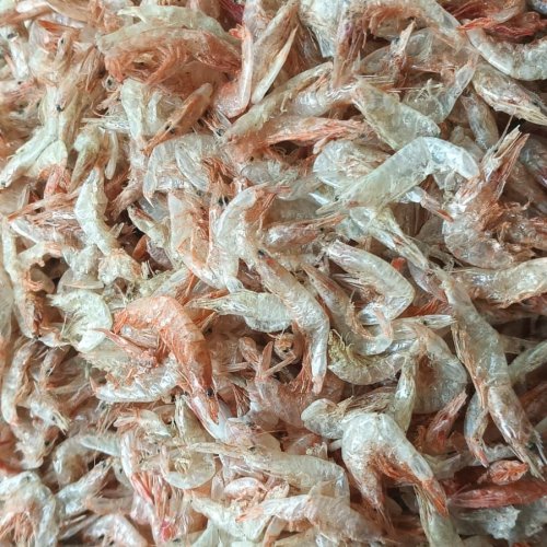 Dried Prawns Shrimp