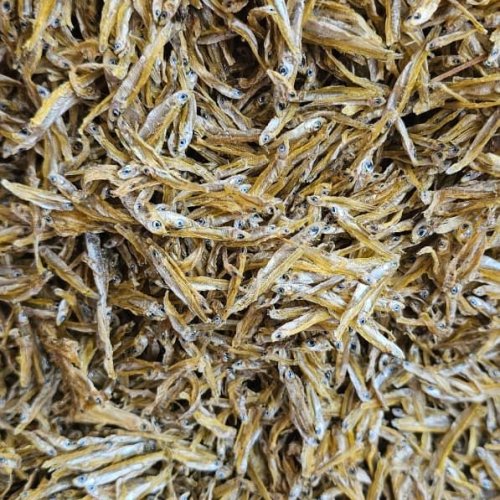 Small Dried Anchovies Fish