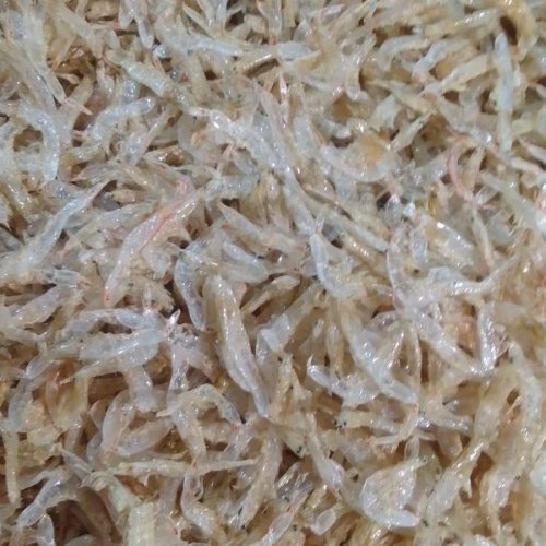 Small Dried Prawns Shrimp