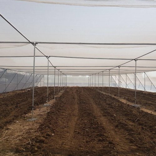 Flat Type Net House