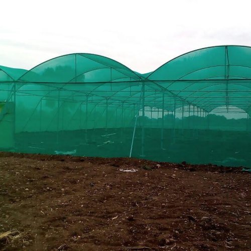 Tunnel Type Net House Tunnel Type Net House