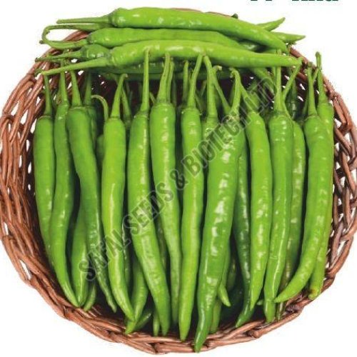 F1-Alia Chilli Seeds