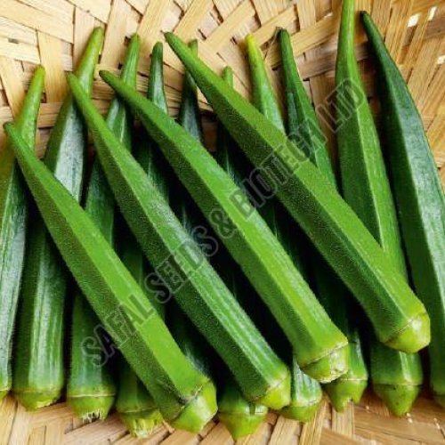F1 Rukhmini Lady Finger Seeds